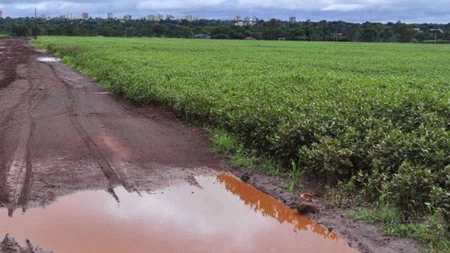 Ir para  <p>Os eventos climatol&oacute;gicos apontam&nbsp;condi&ccedil;&atilde;o de neutralidade neste momento, com perspectiva de atua&ccedil;&atilde;o do fen&ocirc;meno La Ni&ntilde;a de fraca intensidade a partir...
